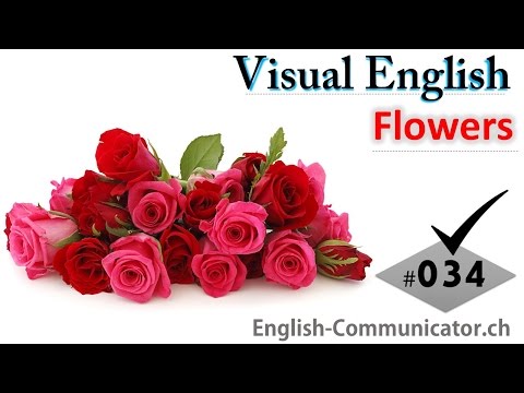 #034 Visual English Language Learning Practical Vocabulary Namaes of Flowers Part 4